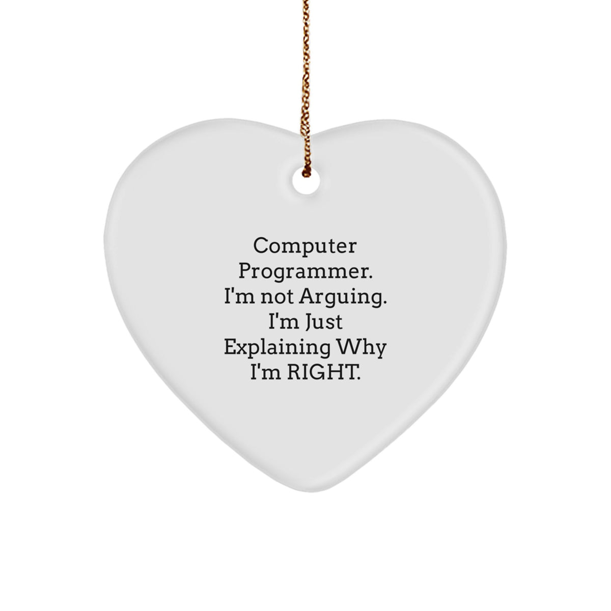 Favorite Christmas Ornament Gift for Kids Computer Programmer. I'm Not - Image 1