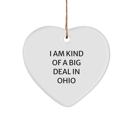 Ohio Gifts from Friends and Family, Funny Heart Ornament, Christmas Unique Gifts for Men and Women, I 'm Kind Of A Prime Selection In Ohio - Image 1