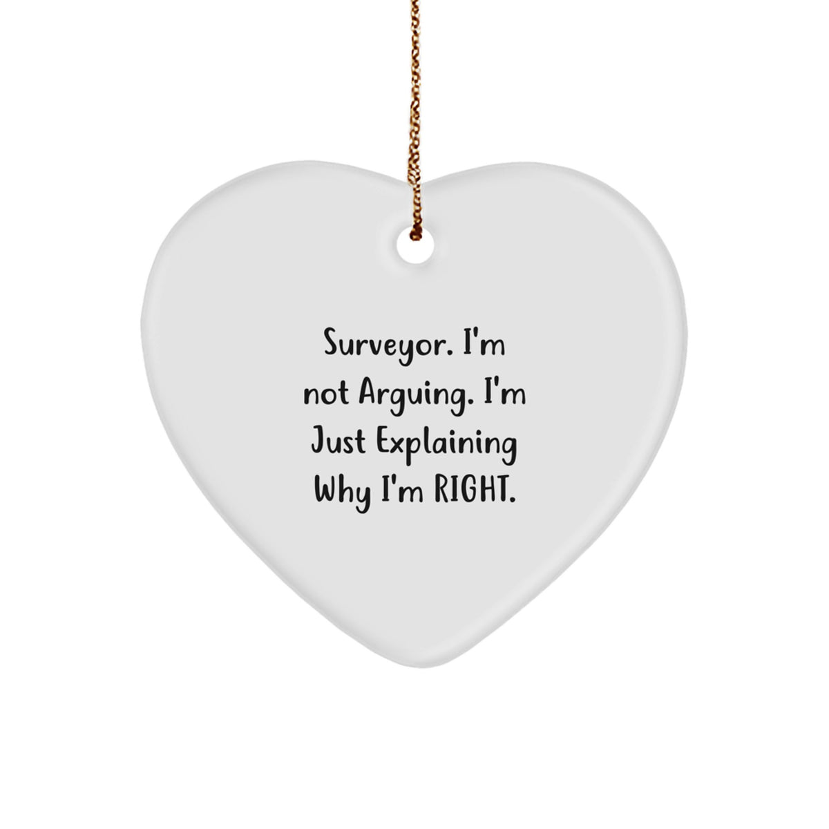 Witty Surveyor Christmas Ornament Gift for Friends - Image 1