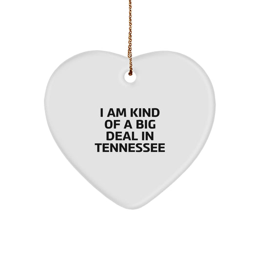 Funny Tennessee Heart Ornament Gifts from Friends and Family, 'I Am Kind Of A Prime Selection In Tennessee' Christmas Unique Ornaments for Tennessee Men Women - Image 1