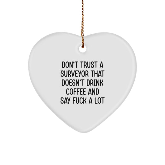 Funny Surveyor Heart Ornament Gifts from Friends or Family for Surveyor, Christmas Unique Gifts, Heart Shaped MDF with Sublimation Print - Image 1