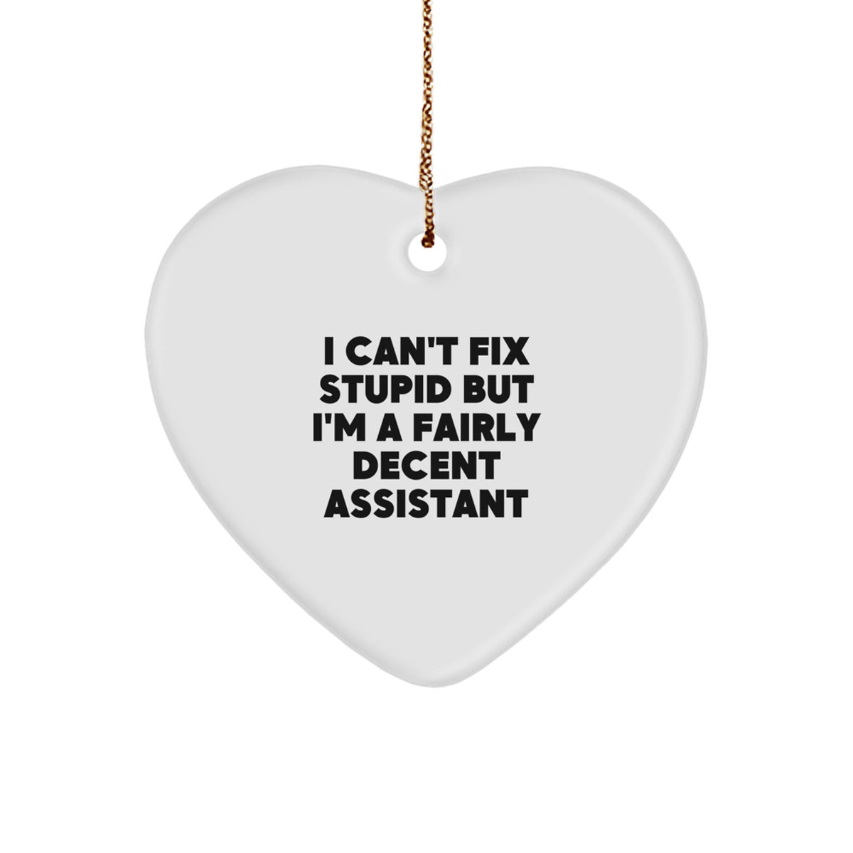 Assistant Christmas Ornament Gift for Him - I Can't Fix Stupid, Decent - Image 1