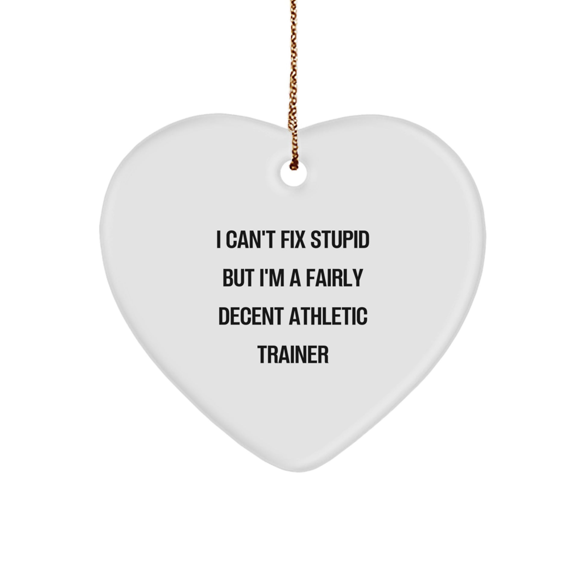 Funny Athletic Trainer Gifts from Friends for Men - Heart Ornament Quote I Can't Fix Stupid But I'm A Fairly Decent Athletic Trainer Christmas Unique - Image 1