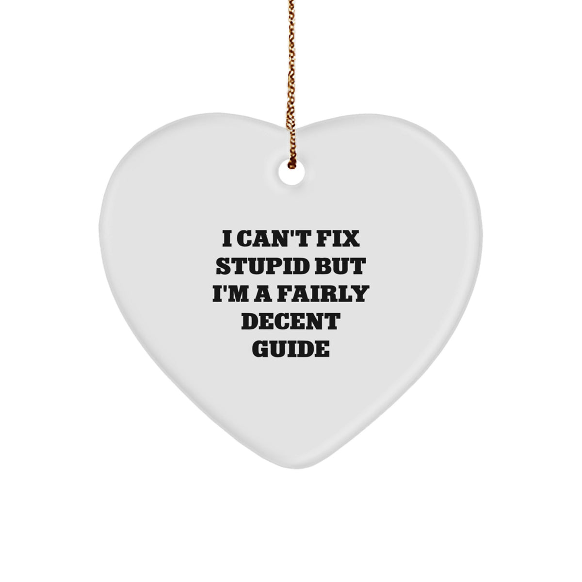 Guide Christmas Ornament Gift for Happy Kids Can't Fix Stupid, Decent Guide - Image 1