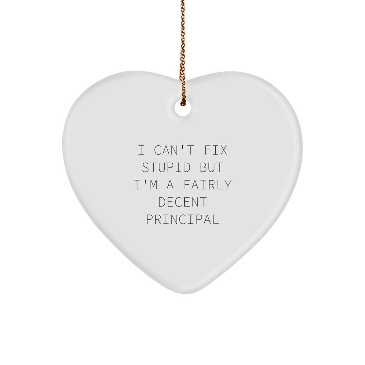 Christmas Unique Gift Surprise Principal Heart Ornament I Can't Fix Stupid - Image 1