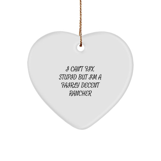 Heart Ornament Gift for Coworkers I Can't Fix Stupid, Fairly Rancher - Image 1