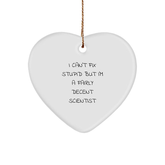 Funny Scientist Gifts from Friends for Men - Heart Ornament with I Can't Fix Stupid Quote, Perfect for Christmas Unique Gifts - Image 1