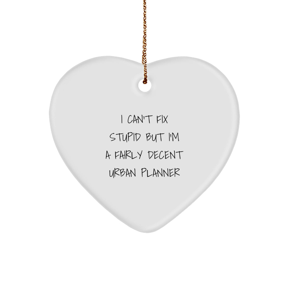 Funny Can't Fix Stupid, Decent Urban Planner Ornament Gift for Friends - Image 1