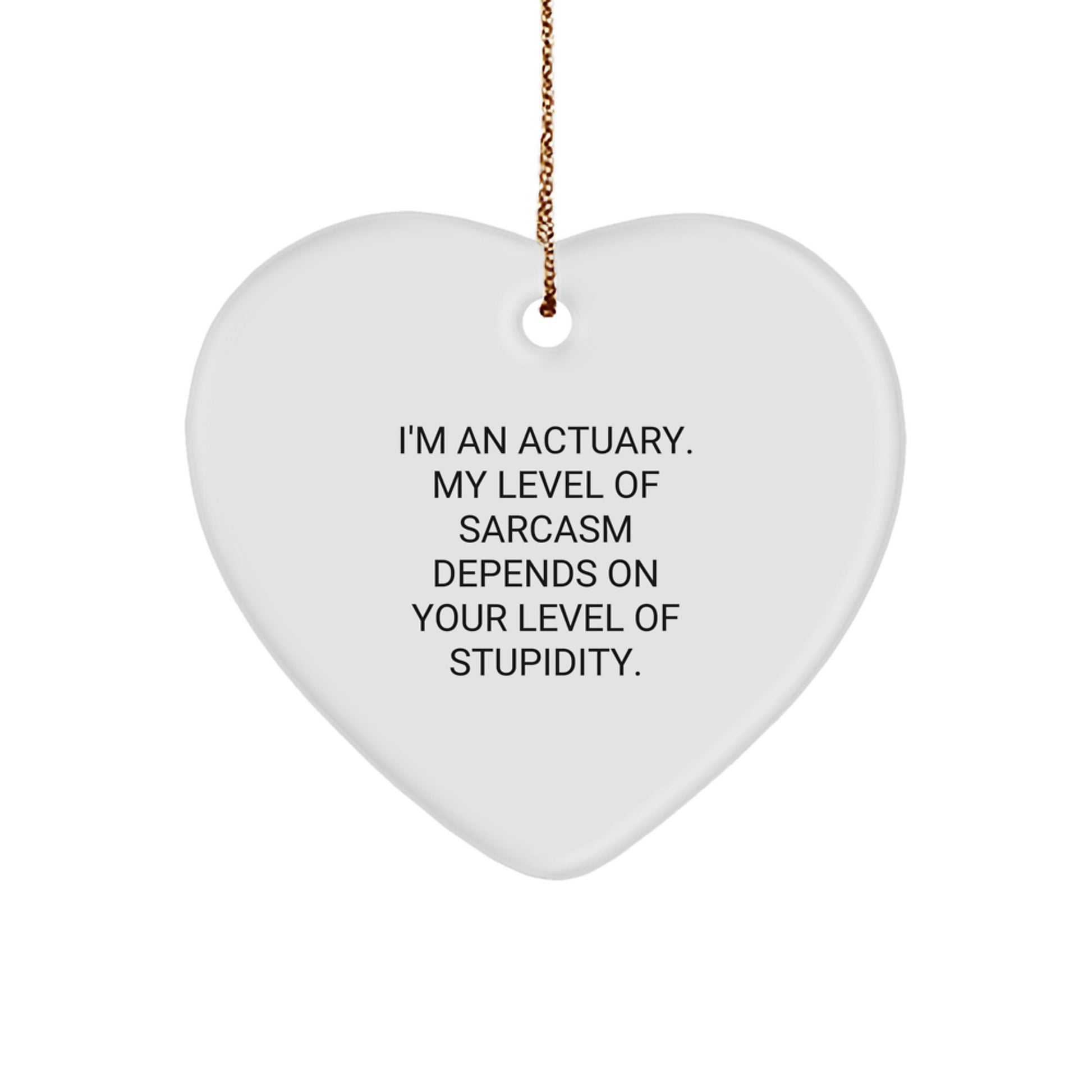 Funny Actuary Gifts from Men to Friends - Actuary Heart Ornament with Sarcasm Quote for Christmas Unique Gifts - Image 1