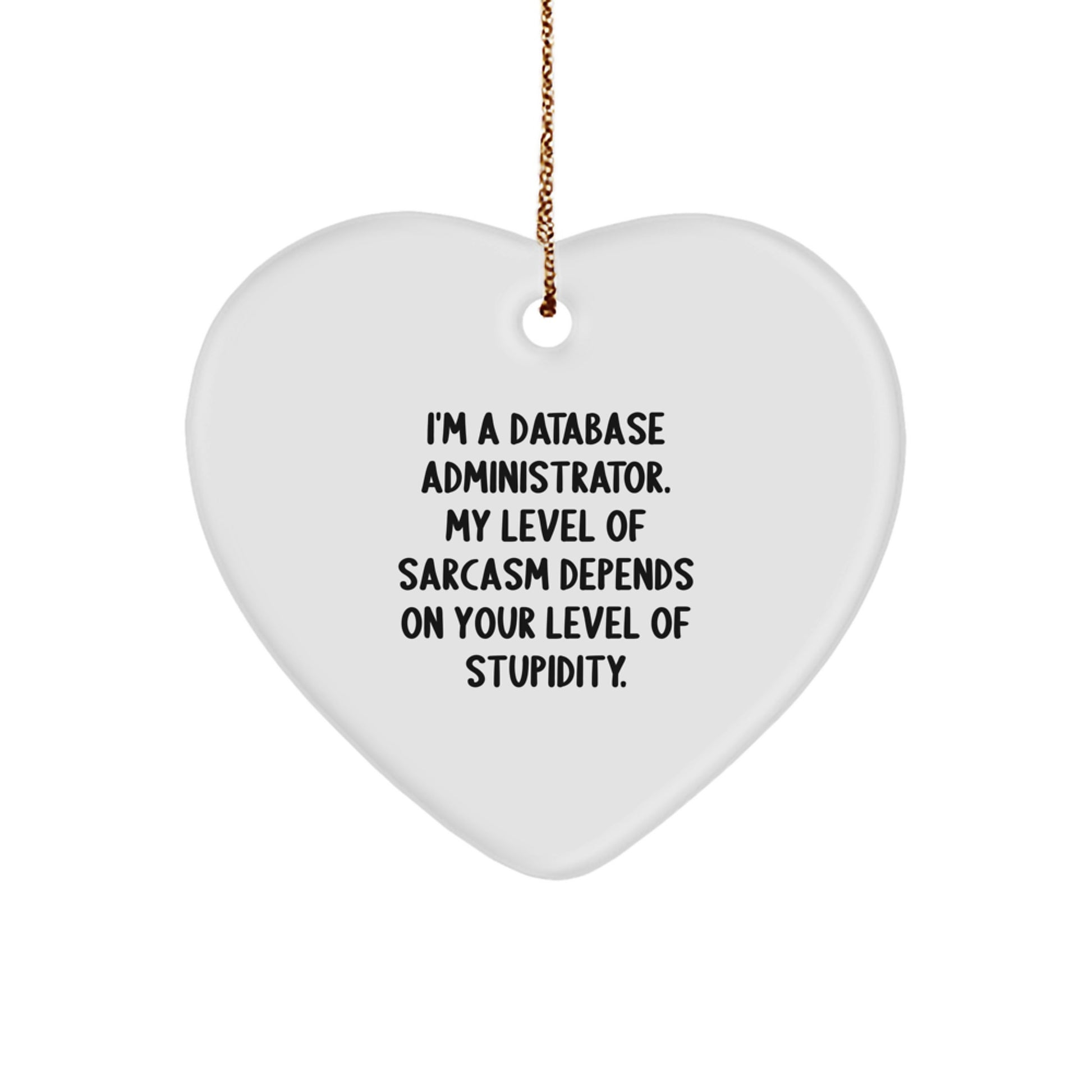 Sarcastic DBA Heart Ornament, Funny Gift for Friends, Coworkers, Family - 'I'm A Database Administrator...' - Image 1