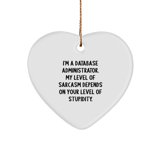 Sarcastic DBA Heart Ornament, Funny Gift for Friends, Coworkers, Family - 'I'm A Database Administrator...' - Image 1