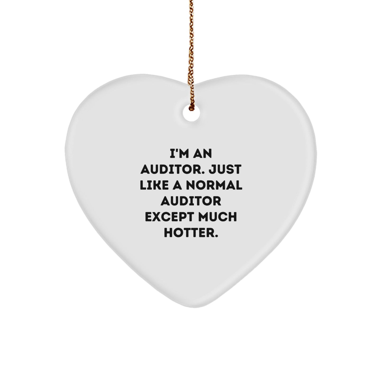 Funny Auditor Gifts from Friends for Men Auditor Christmas Unique Ornament - Image 1