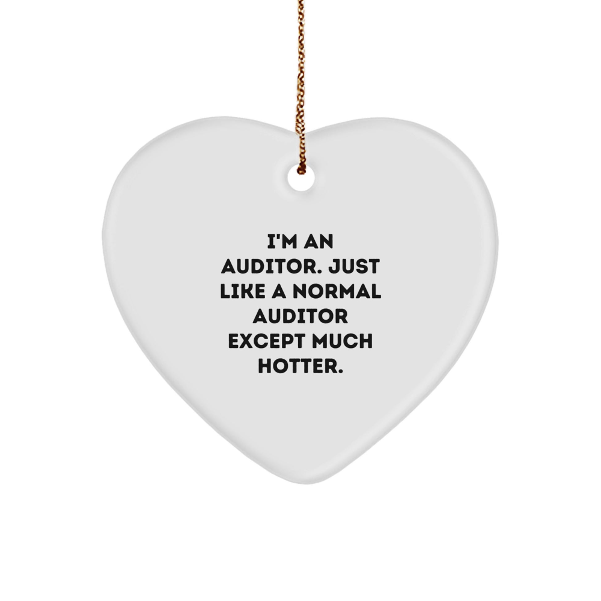 Funny Auditor Gifts from Friends for Men Auditor Christmas Unique Ornament - Image 1