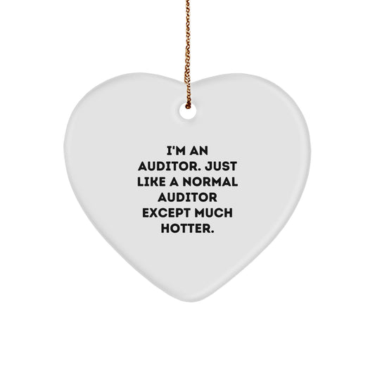 Funny Auditor Gifts from Friends for Men Auditor Christmas Unique Ornament - Image 1