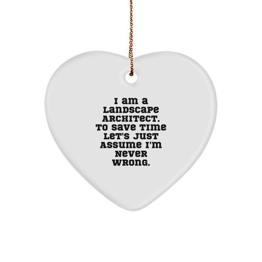 Christmas Unique Gift Landscape Architect Heart Ornament Surprise for Teens - Image 1