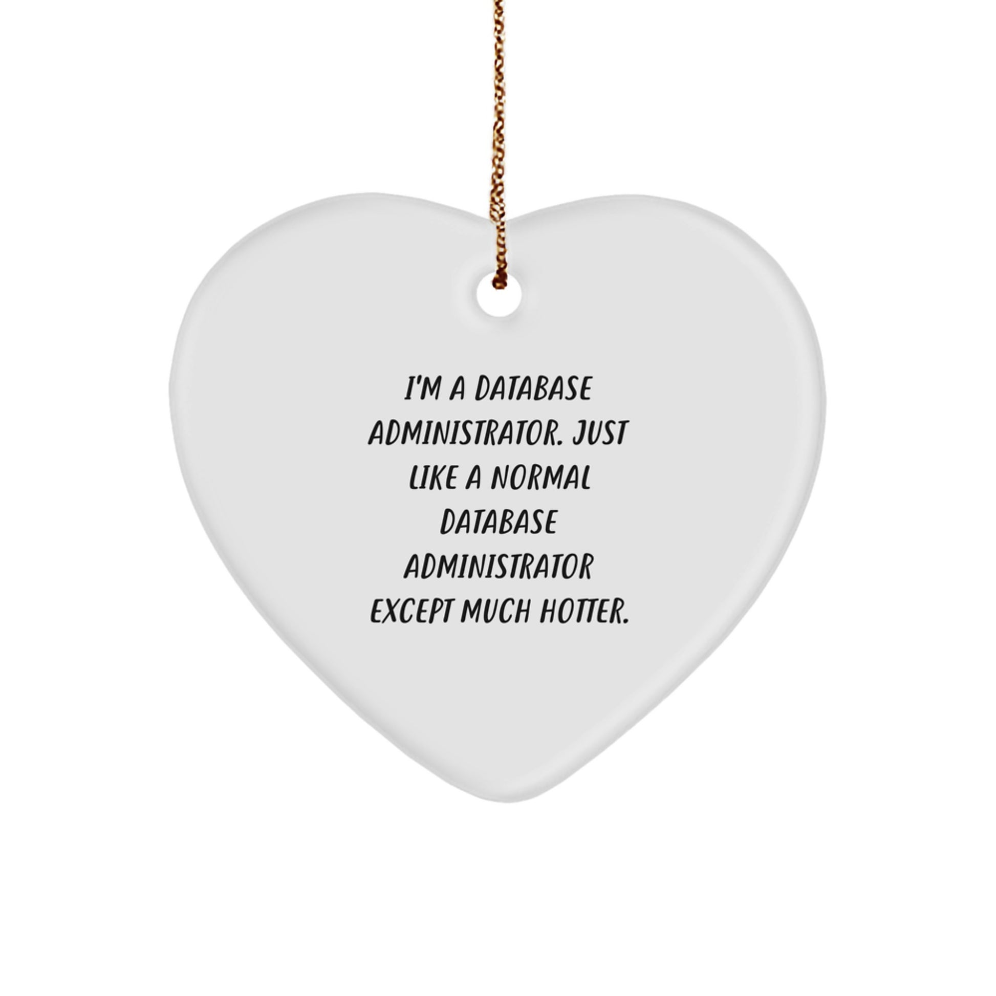 Funny Database Administrator Heart Ornament Gifts from Men or Women for Friends or Coworkers to Show Support - Image 1