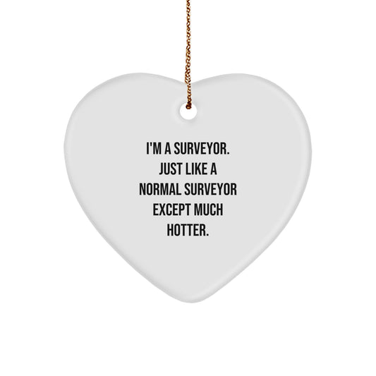 Funny Surveyor Heart Ornament Gifts from Men to Friends | Surveyor Unique Gifts for Christmas - Image 1