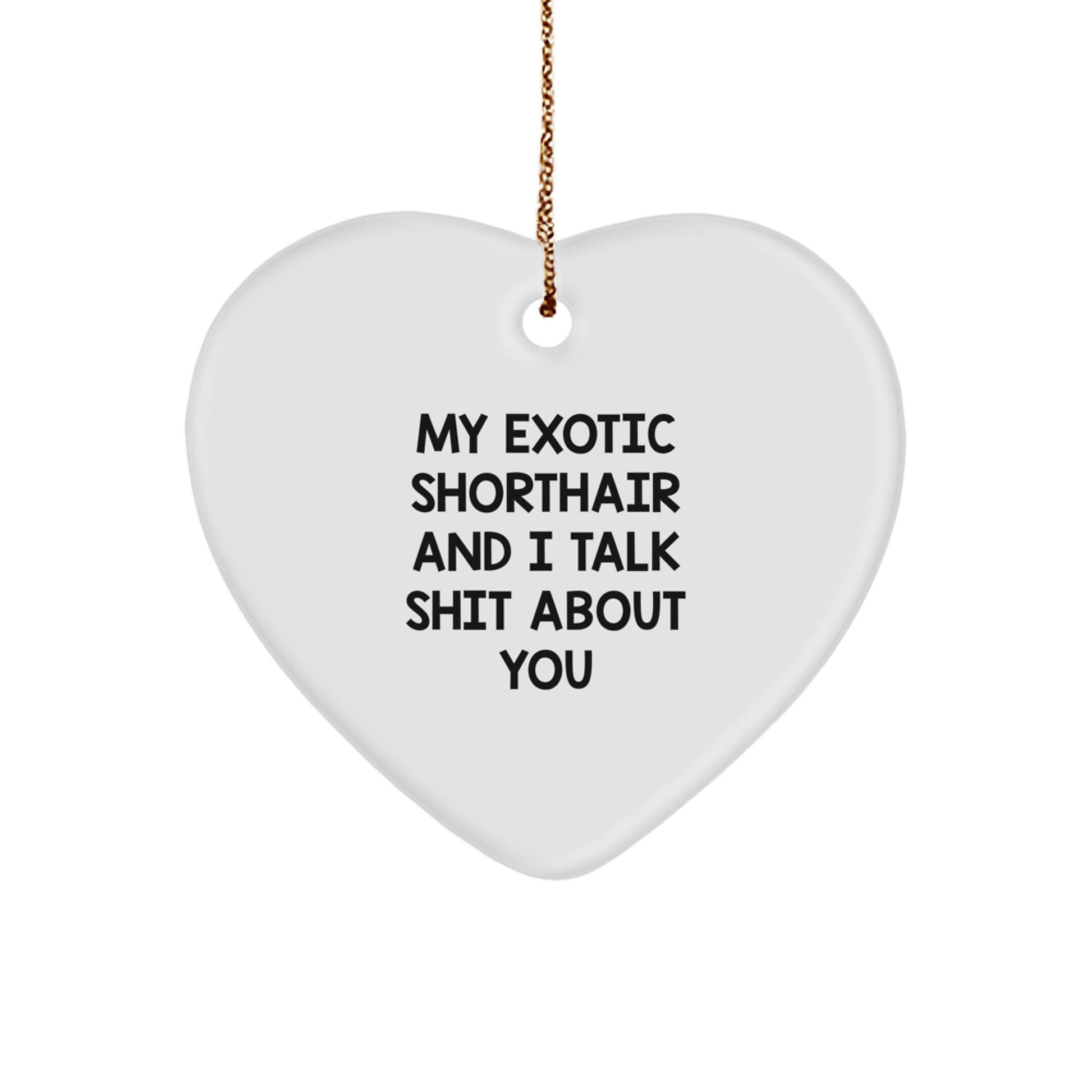 Funny Exotic Shorthair Cat Gifts for Men Women - Heart Ornament from Friends and Family - My Exotic Shorthair And I Talk Shit About You Cat Lover Christmas Unique Gifts - Image 1