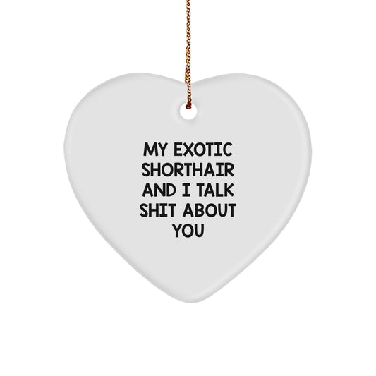 Funny Exotic Shorthair Cat Gifts for Men Women - Heart Ornament from Friends and Family - My Exotic Shorthair And I Talk Shit About You Cat Lover Christmas Unique Gifts - Image 1