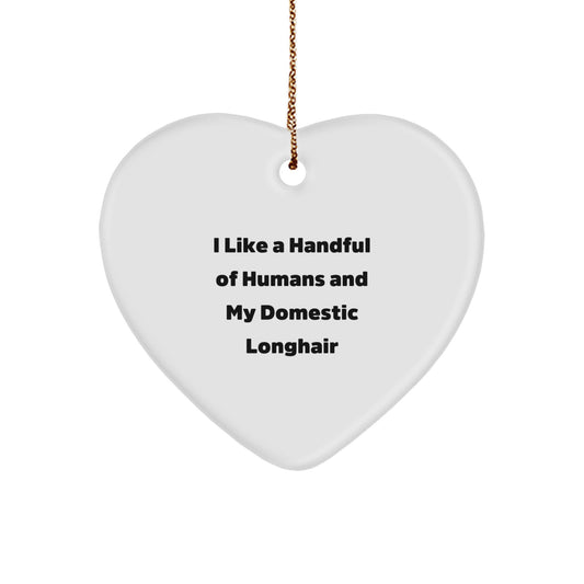 Funny Domestic Longhair Cat Heart Ornament Gifts from Family for Christmas, Unique Cat Lover Gifts Idea - Image 1