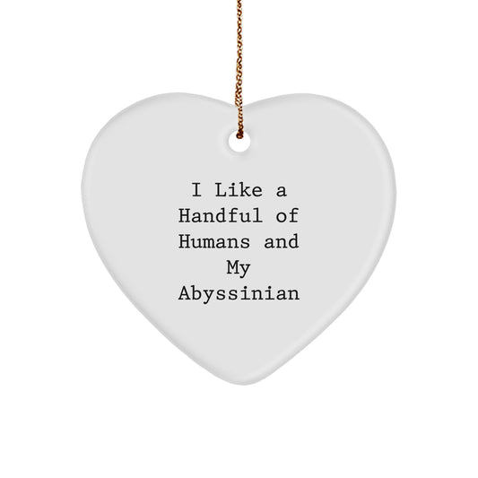 Funny Abyssinian Cat Lover Gifts from Friends, Unique Heart Ornament for Christmas Unique Gifts, Gifts for Abyssinian Cat Owners, Cat Lover Decorations - Image 1
