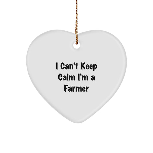 Funny 'I Can't Keep Calm I'm A Farmer' Gifts for Farmer, Cute Heart Ornament, Christmas Unique Gifts from Friends - Image 1
