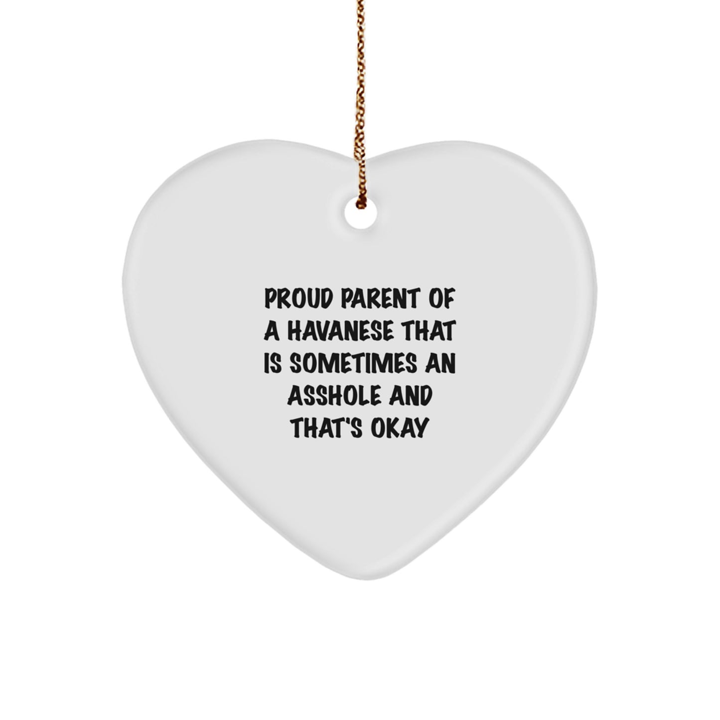 Funny Havanese Dog Gifts from Friends for Proud Parents of Havanese Dogs on Christmas Unique Gifts - Image 1