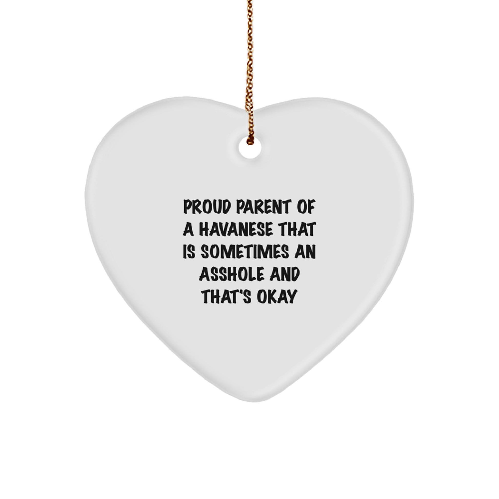 Funny Havanese Dog Gifts from Friends for Proud Parents of Havanese Dogs on Christmas Unique Gifts - Image 1