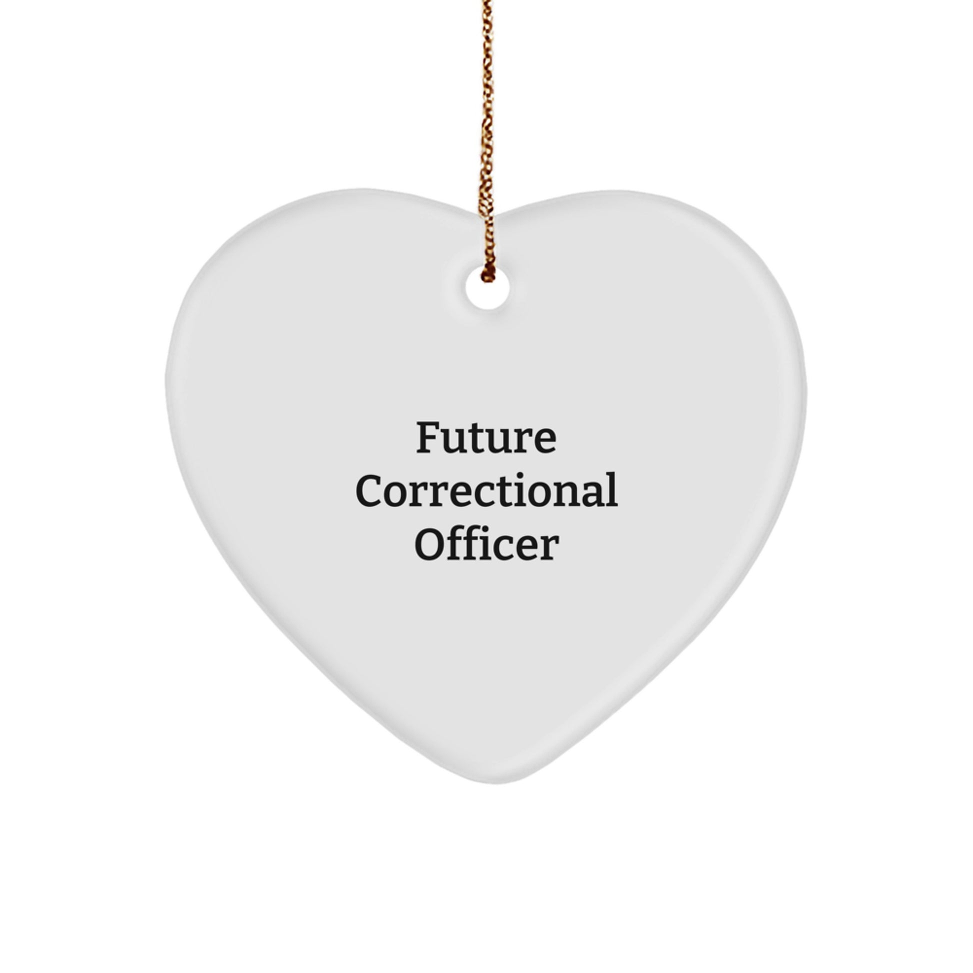 Funny Quote Correctional Officer Gifts, Heart Ornament, Gifts from Family to Future Correctional Officer, Christmas Unique Gifts - Image 1