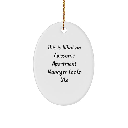 Funny Apartment Manager Gifts from Friends - Oval Ornament - This Is What An Awesome Apartment Manager Looks Like - Christmas Unique Gifts for Apartment Managers - Image 1