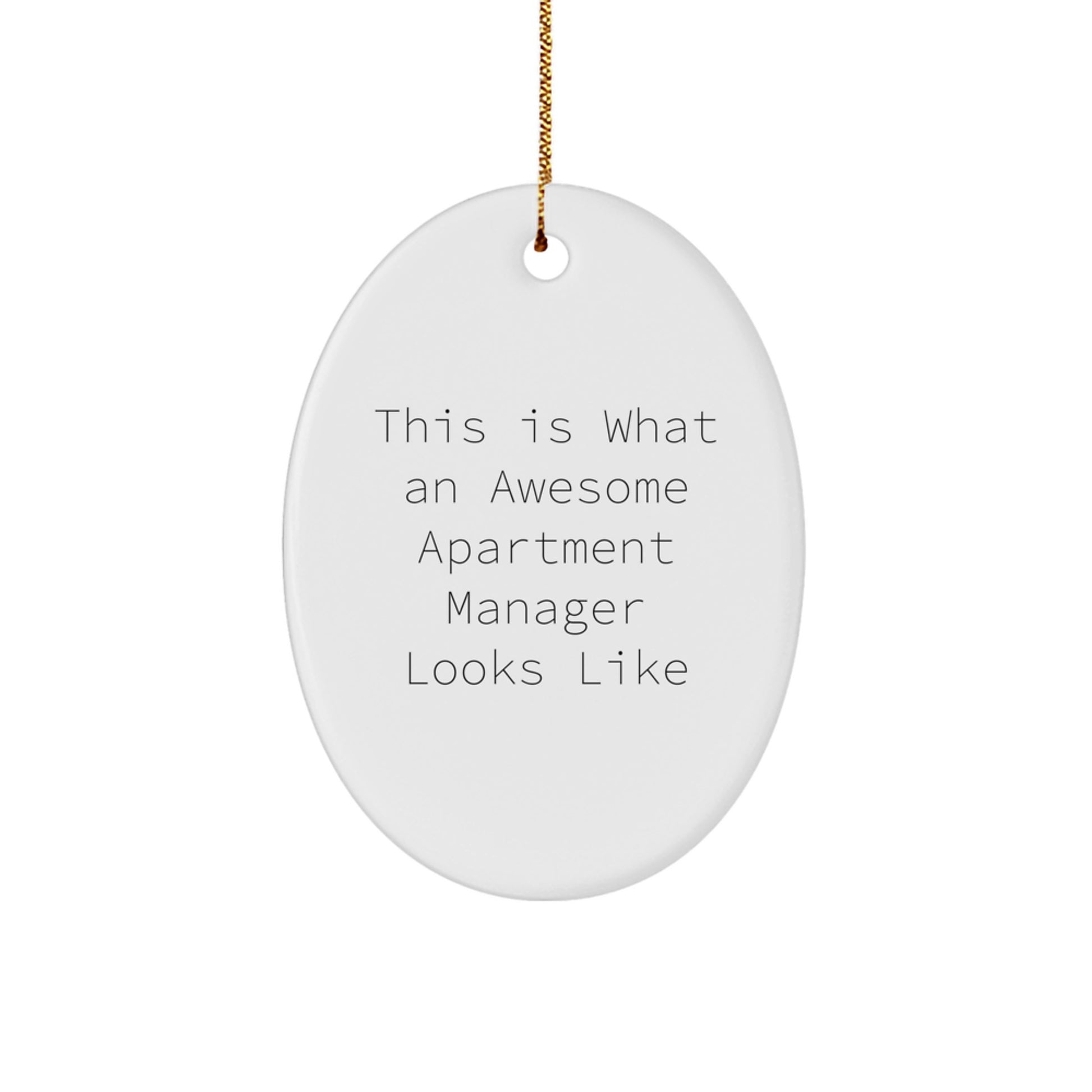 Funny Apartment Manager Gifts Oval Ornament This Is What An Awesome Apartment Manager Looks Like Christmas Unique Gifts for Men from Friends - Image 1