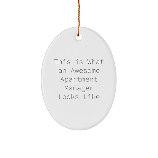 Funny Apartment Manager Gifts Oval Ornament This Is What An Awesome Apartment Manager Looks Like Christmas Unique Gifts for Men from Friends - Image 1
