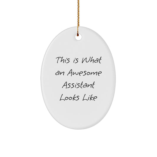 Funny Assistant Oval Ornament Gifts from Friends, Christmas Unique Gifts for Assistant, 'This Is What An Awesome Assistant Looks Like', Oval Shaped, White, Durable MDF - Image 1