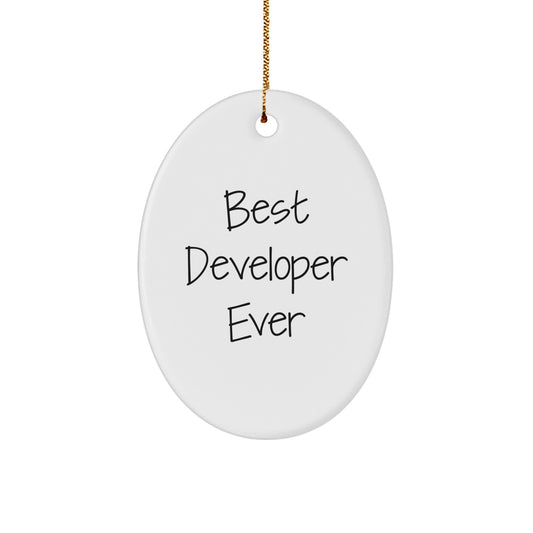 Best Developer Ever Oval Ornament, Funny Gifts from Friends or Coworkers, Christmas Unique Gifts for Him or Her - Image 1