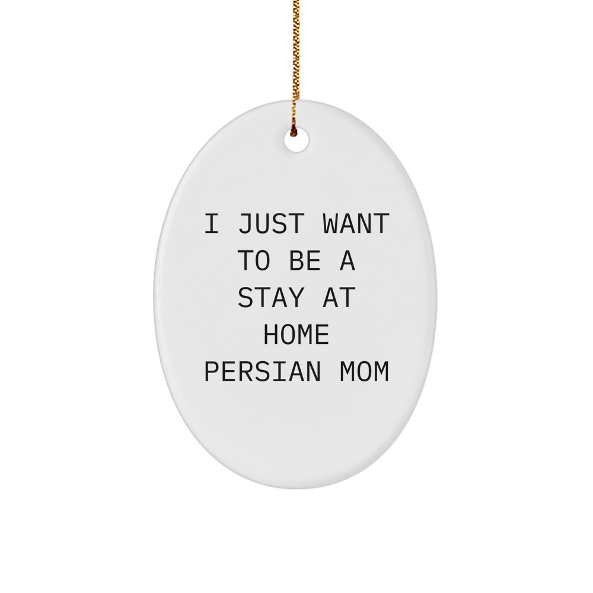 Persian Cat Mom Funny Oval Ornament Gifts for Friends from Men for Christmas - Image 1
