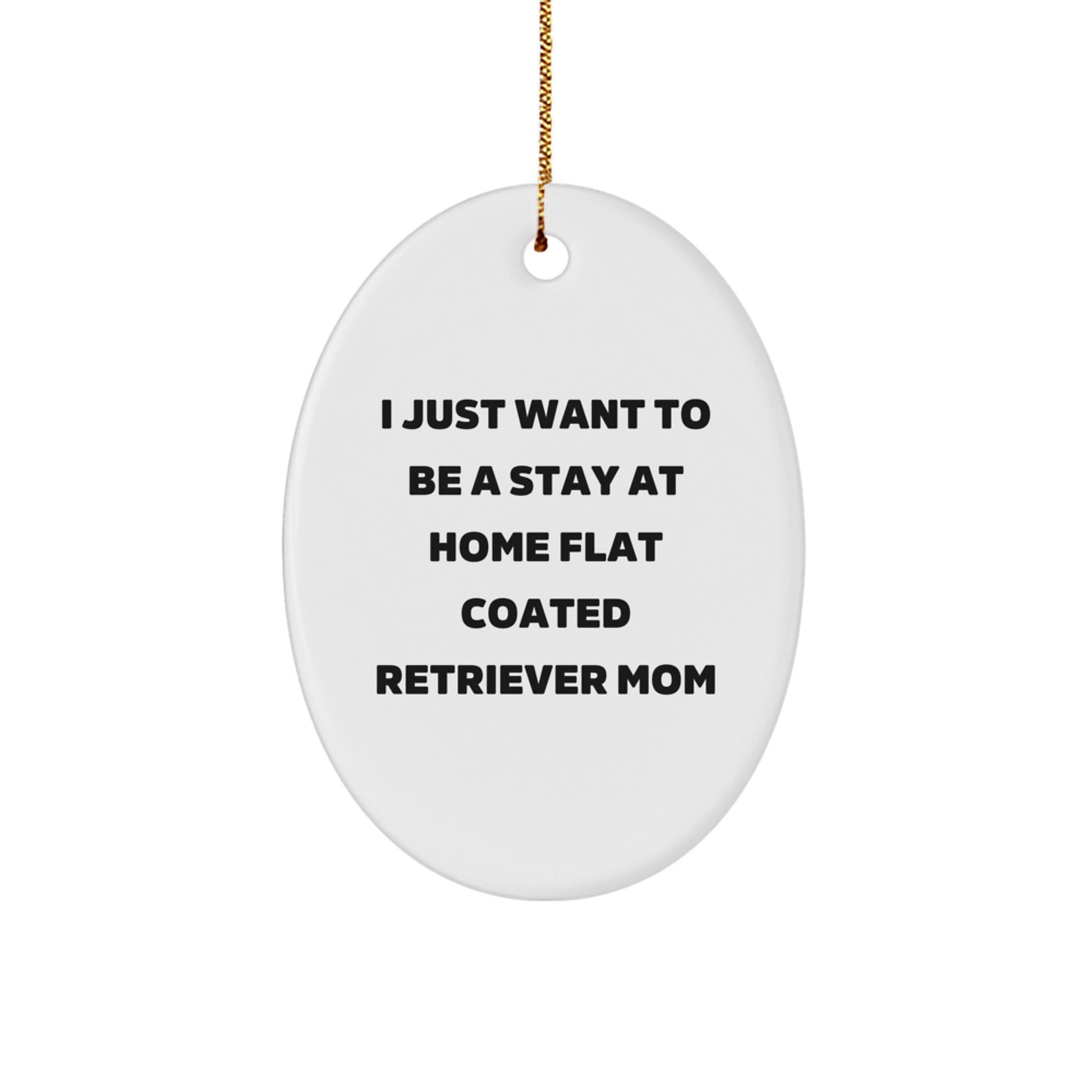 Funny Flat Coated Retriever Dog Mom Gifts from Men to Family for Christmas Unique Gifts - Image 1
