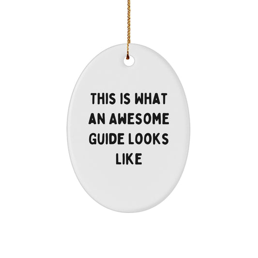 Funny Guide Gifts from Friends - This Is What An Awesome Guide Looks Like Christmas Oval Ornament for Guide Lovers - Image 1