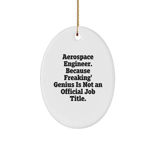 Funny Aerospace Engineer Oval Ornaments Gifts for Men from Family - Oval Shaped Ornaments with Quirky Quote - Image 1