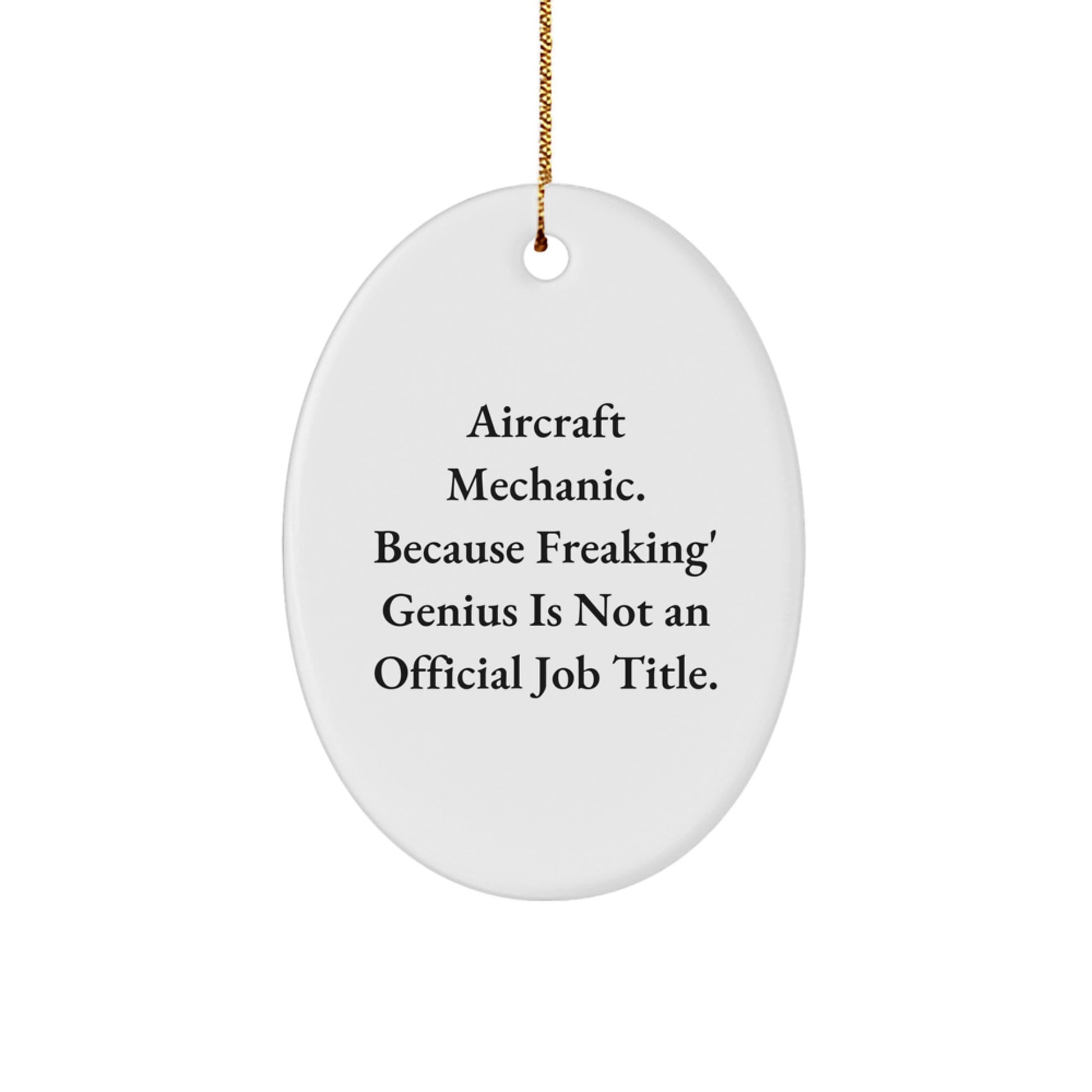 Funny Christmas Unique Gifts from Men to Aircraft Mechanic Friends - Oval Ornament with genius Quote - Image 1