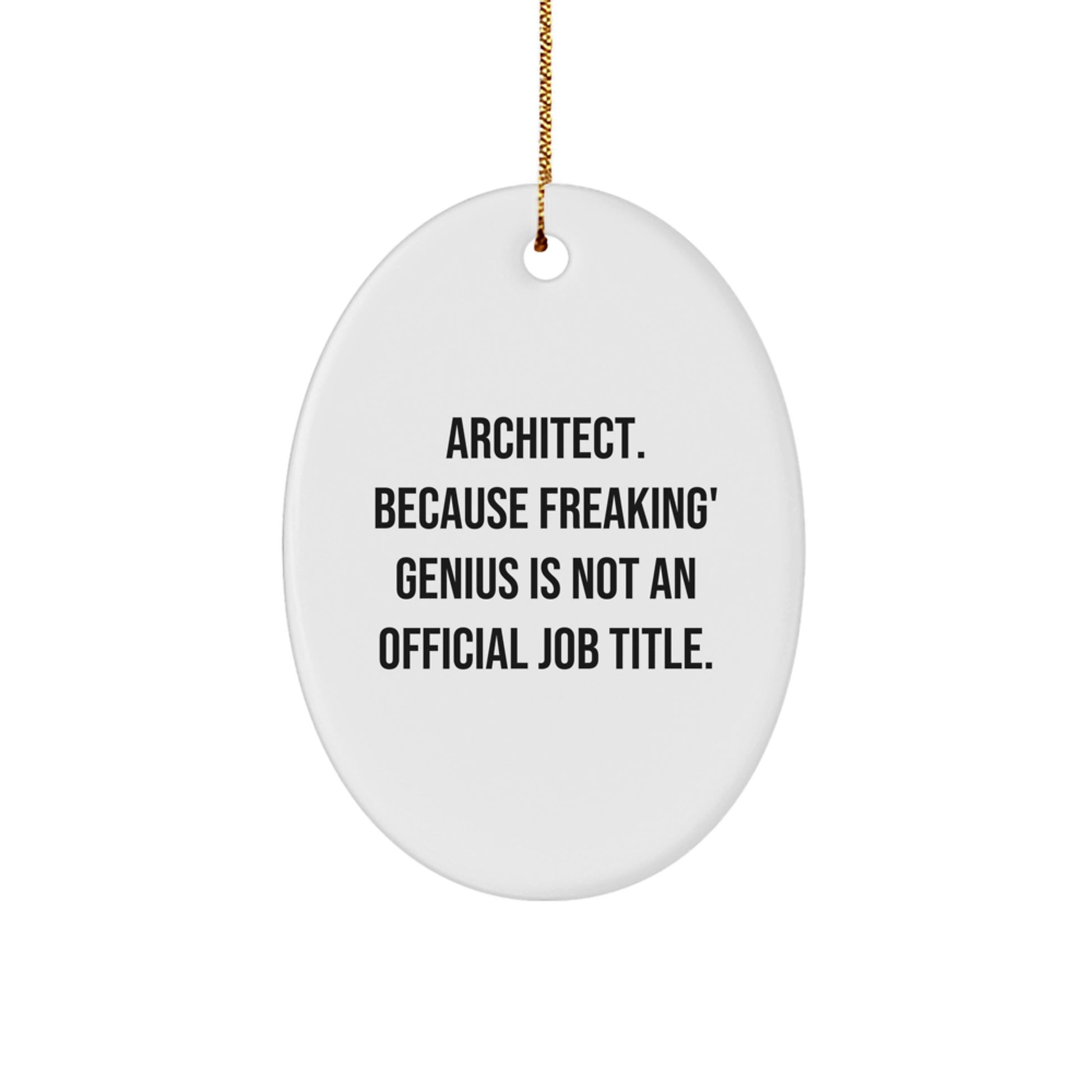 Funny Architect Gifts from Men to Friends, Oval Ornament for Christmas Unique Presents - Image 1