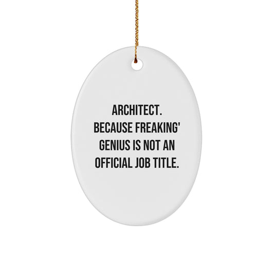 Funny Architect Gifts from Men to Friends, Oval Ornament for Christmas Unique Presents - Image 1