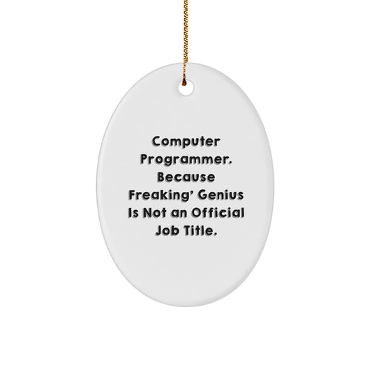 Funny Computer Programmer Oval Ornament Gifts from Friends to Computer Programmer Men, Unique Christmas Unique Gifts for Computer Programmer, Oval Ornament Quote - Image 1