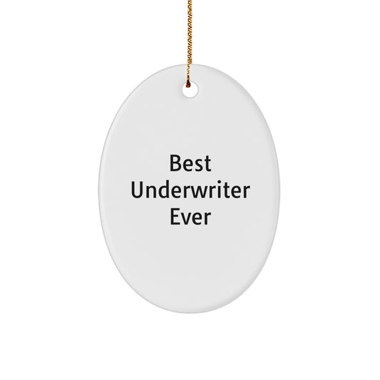 Funny Underwriter Oval Ornament Gifts from Friends, Christmas Unique Gifts, Best Underwriter Ever, Oval Ornament for Underwriter, Funny Underwriter Gift for Friends - Image 1