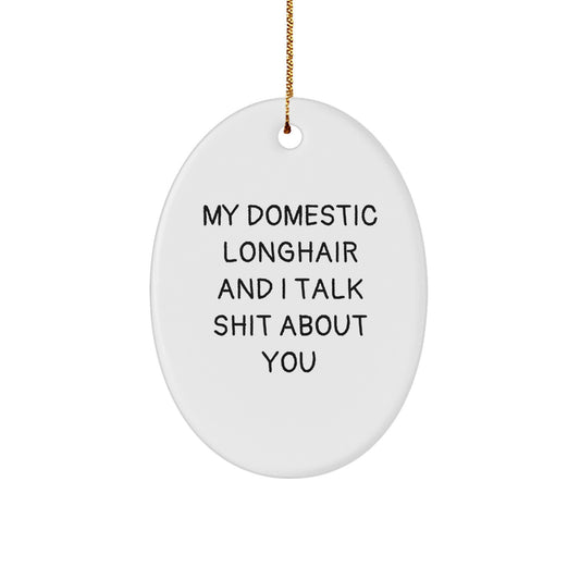 Funny Domestic Longhair Cat Oval Ornament Gifts for Men, Women, Friends, Coworkers, Family - Christmas Unique Decorations, 'My Domestic Longhair And I Talk Shit About You' Quote - Image 1