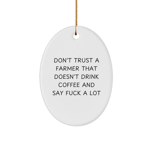 Funny Farmer Gifts for Men Christmas Oval Ornament 'Don't Trust', Gifts from Friends - Image 1