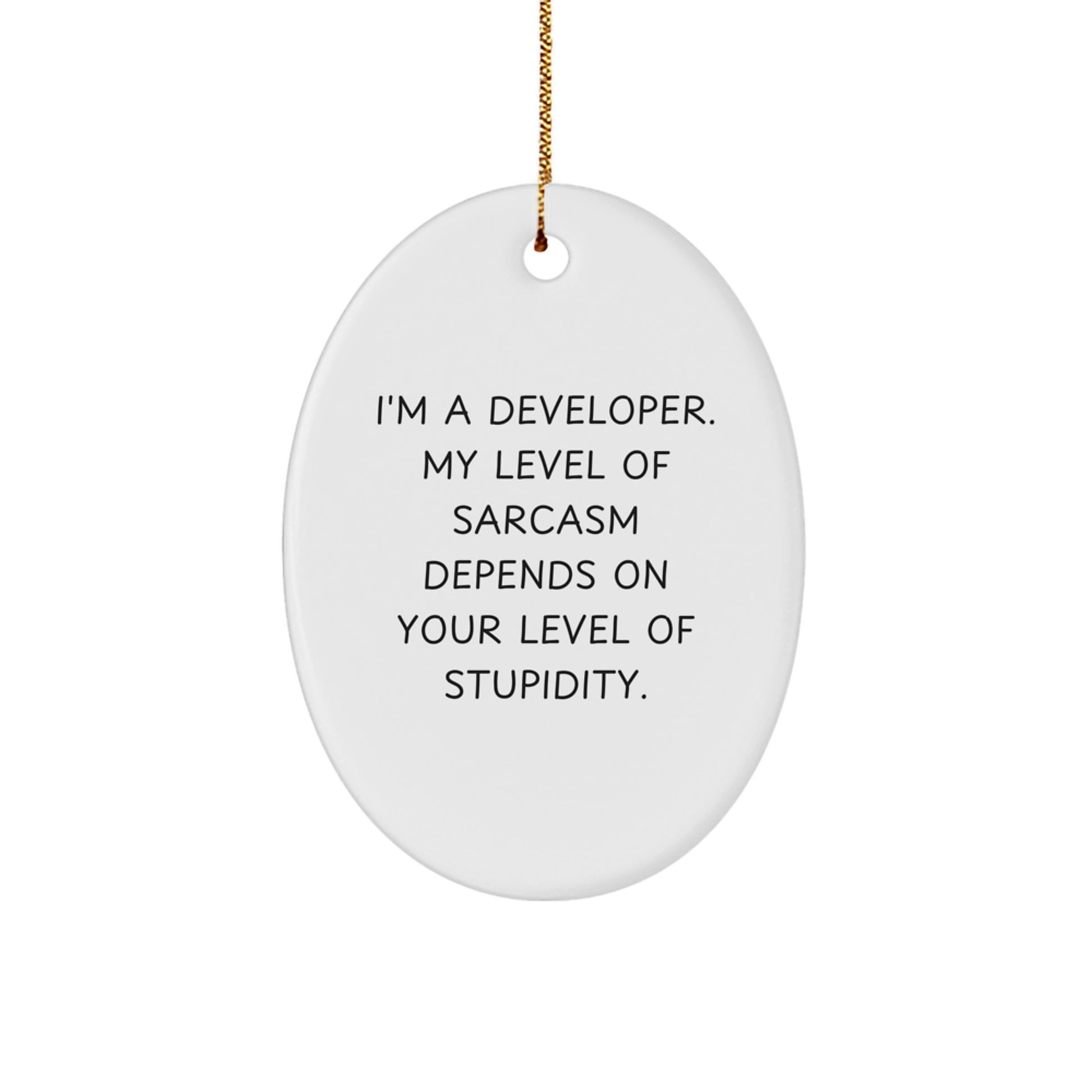 Funny Developer Gifts for Him - Oval Ornament with I'm A Developer Sarcasm Quote, White, Christmas Unique Gifts from Friends to Coworkers - Image 1