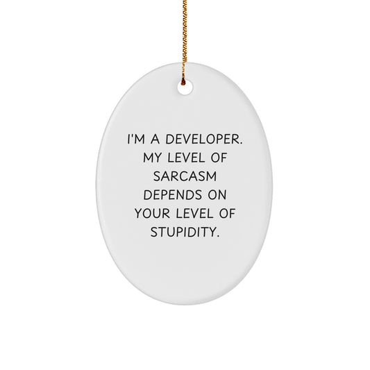 Funny Developer Gifts for Him - Oval Ornament with I'm A Developer Sarcasm Quote, White, Christmas Unique Gifts from Friends to Coworkers - Image 1