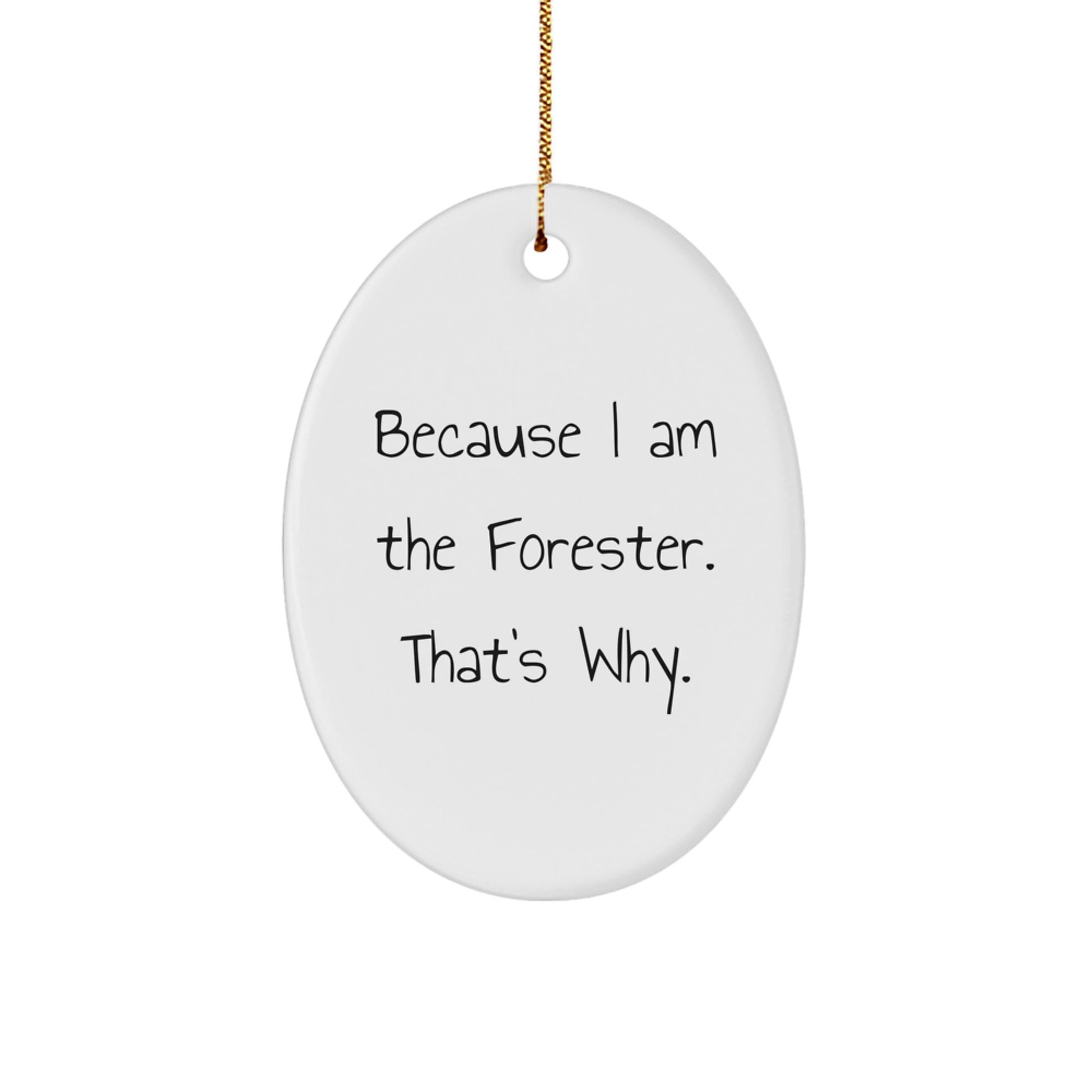 Funny Forester Gifts, Because I Am The Forester. That's Why. - Oval Ornament, Christmas, Gifts from Men, Gifts for Forester - Image 1