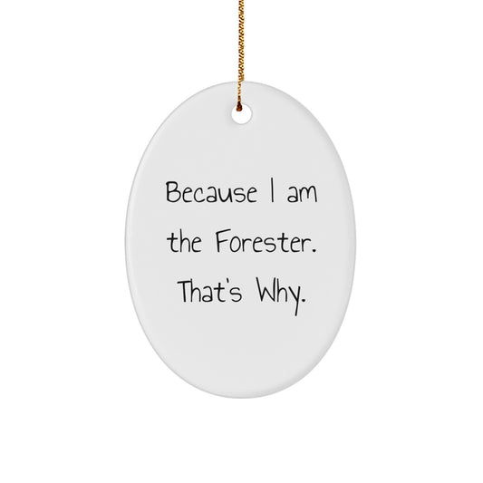 Funny Forester Gifts, Because I Am The Forester. That's Why. - Oval Ornament, Christmas, Gifts from Men, Gifts for Forester - Image 1