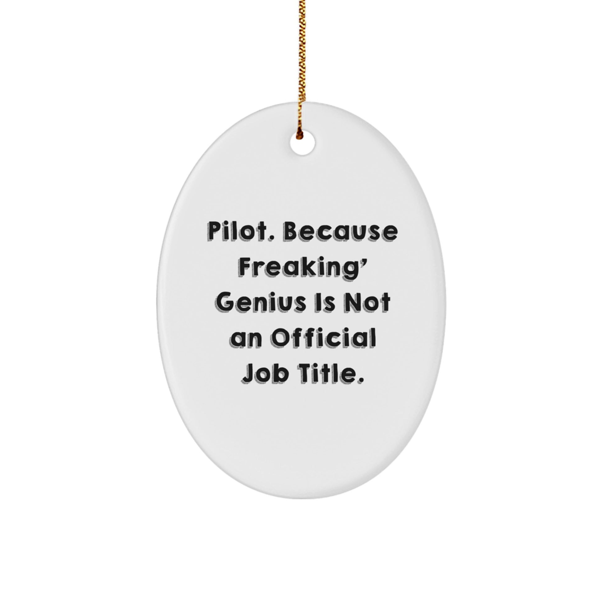 Funny Pilot Gifts from Men to Friends for Christmas - Oval Ornament - Image 1